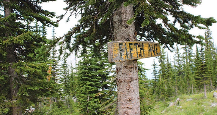 Fifth Ave. None