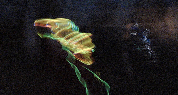 Make your own light show Anna Gonzalez/ Flickr