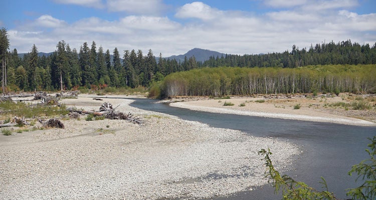 "Olympic National Park"