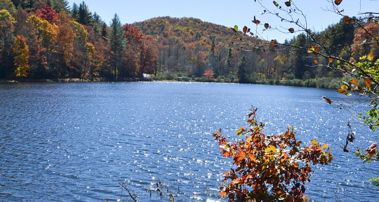 "Chattahoochee-Oconee National Forest"