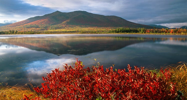 "White Mountain National Forest, NH"