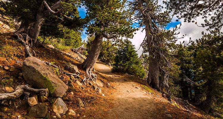 "avoid seeming creepy"