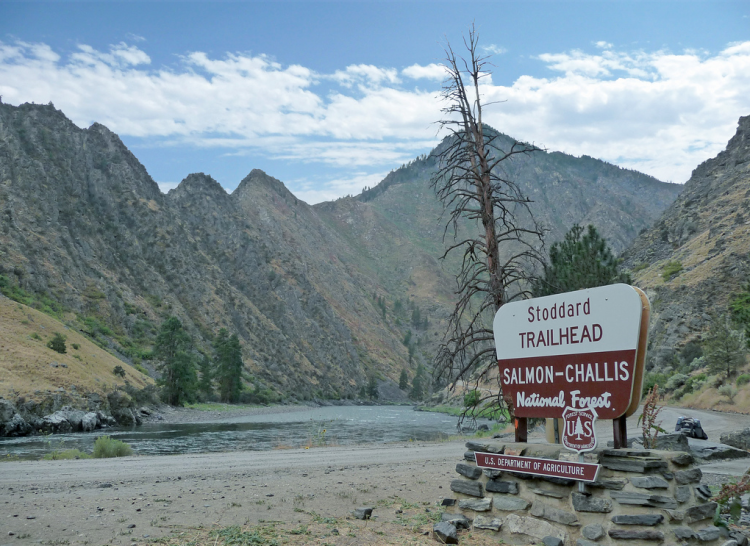 "Salmon-Challis National Forest"