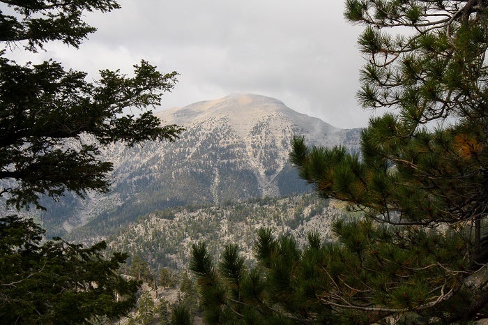 11 Mt Charleston Peak Mt Charleston Peak