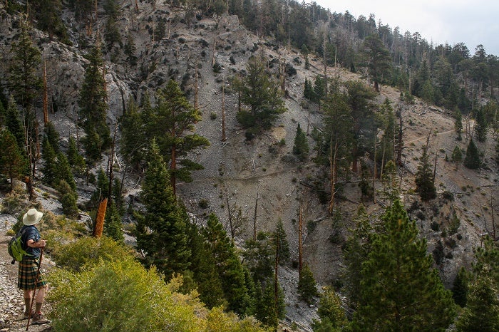 9 Trail to the North Trail to the North