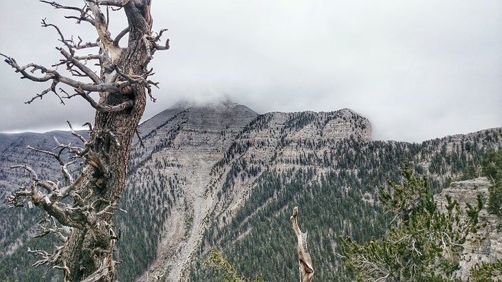 Cloudy Mt Charleston Peak Cloudy Peak