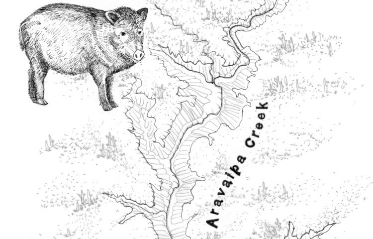 "(Kristin Link, www.kristinillustration.com)"