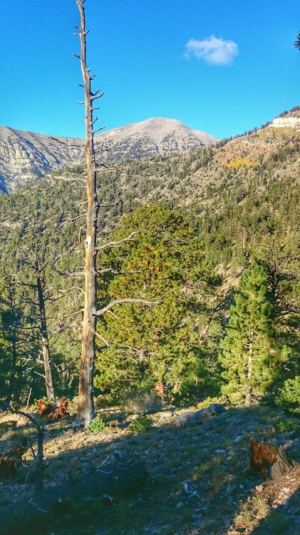 Mt Charleston Peak Charleston Peak
