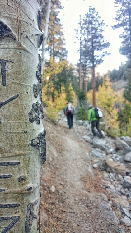 Steep Trail Steep Trail