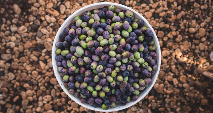 Olives turkey's lycian way