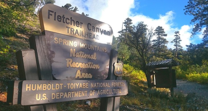 02 Trailhead None