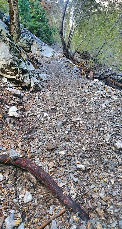 09 Steep Trail 09 Steep Trail