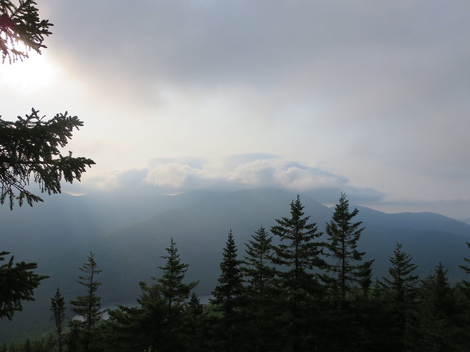"South Branch Mountain Loop [Photo by Matt Mills]"