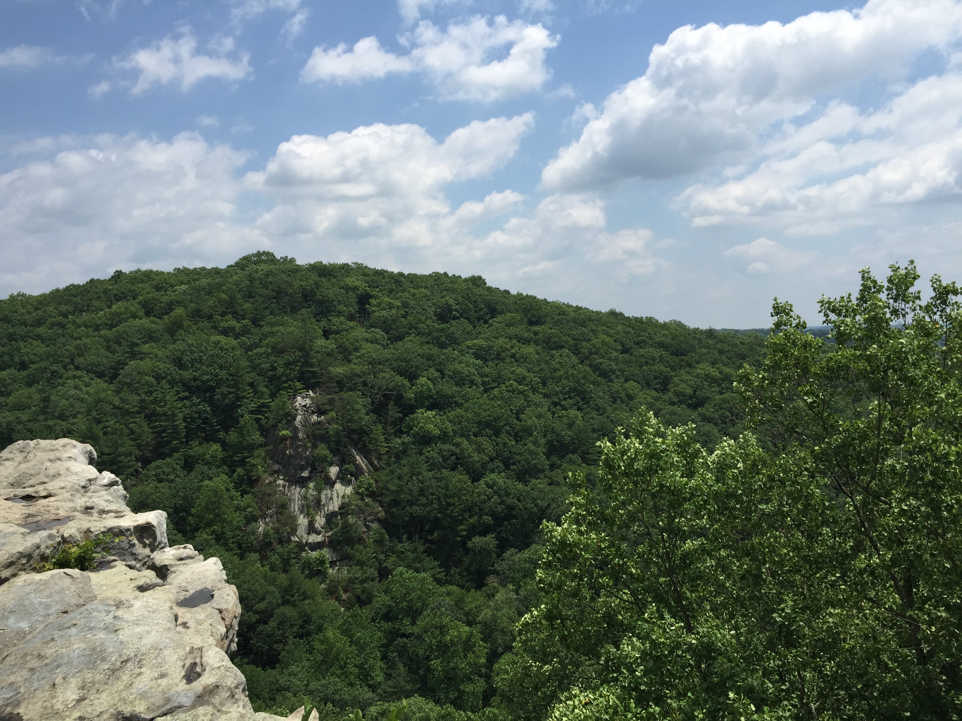 "White Trail Loop, Rocks State Park (MD) [Photo by Matt Mills]"