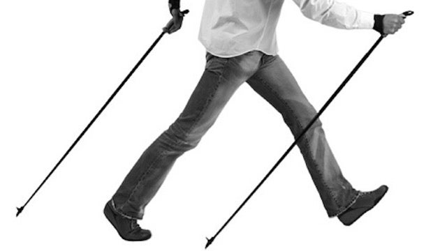 5SkiPoles ski poles cheap gear