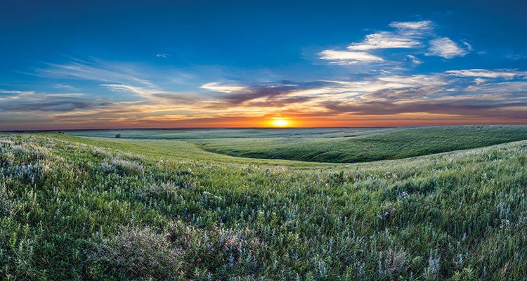 "Tallgrass Prairie"