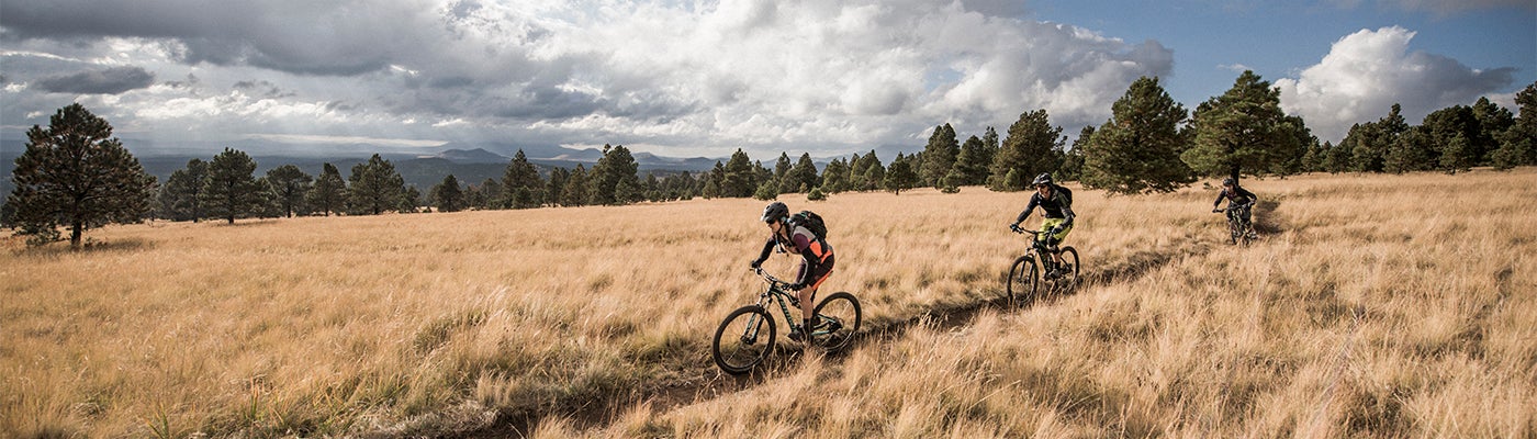 "REI Koval Phoenix AZ SPO"