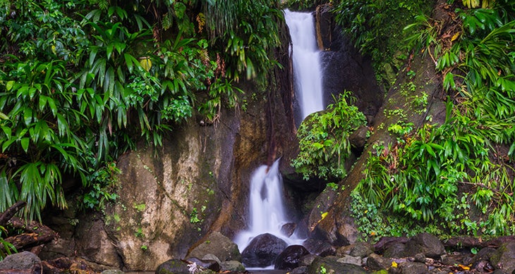Waterfalls Dominica trail