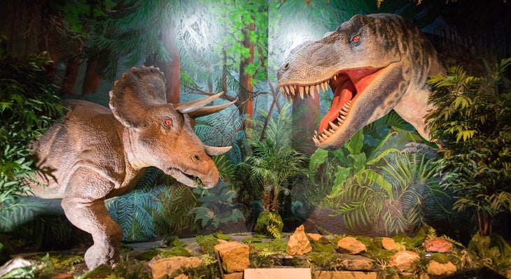 _DSC7765_dino None