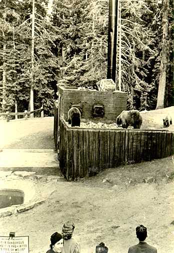 Free Meal Bears