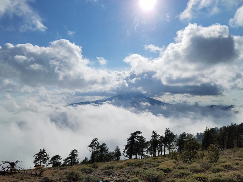 "pacific crest trail mountain"