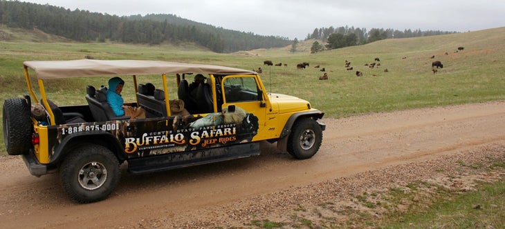 RapidCity_Lisa_Blogs_Custer_SafariShot_1 None