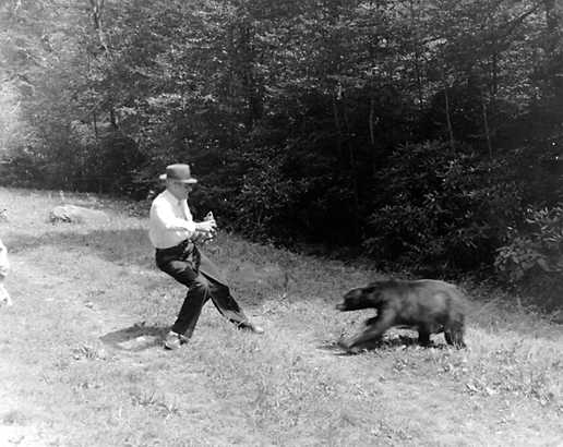 The Original Selfie bear