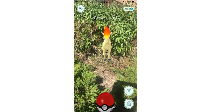 ponyta-pokemon-go None