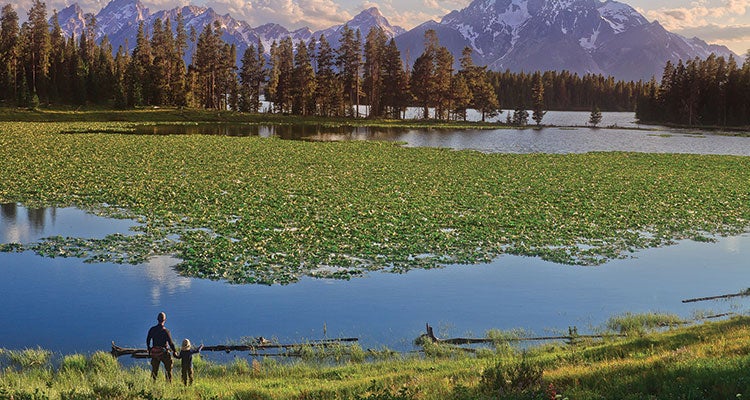 "protect the national parks"