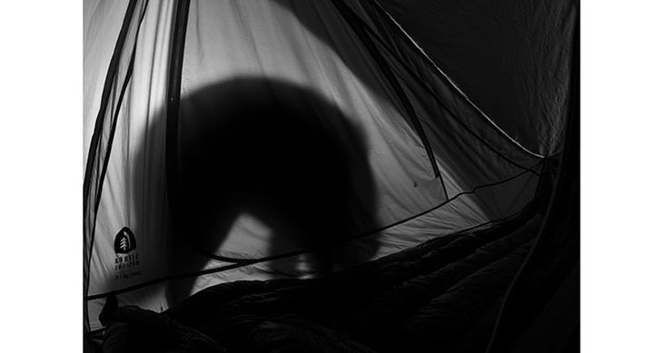 bp1116surv_outalive_openerlagf0122_750x400 tent