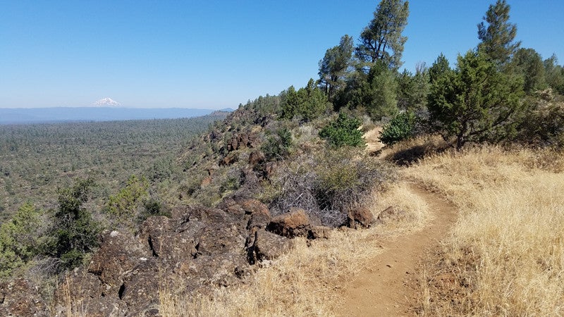 "Photo by Amanda Jameson"