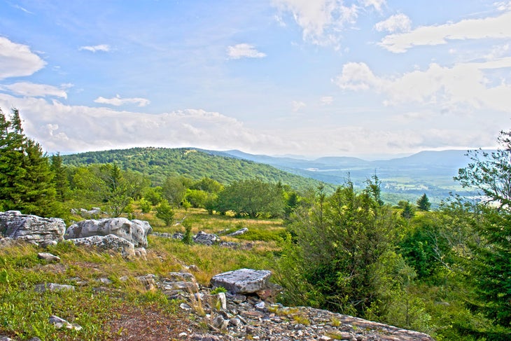 West Virginia: Backpacking the Dolly Sods - West Virginia Backpacking Dolly SoDs Morgan Tilton 4