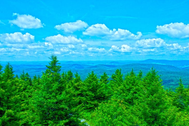 west-virginia_spruce-knob_morgan-tilton_1 West Virginia - Spruce Knob