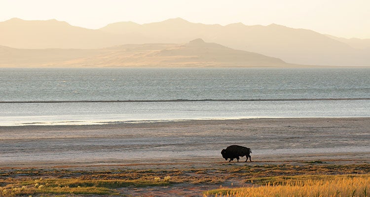 "best state parks utah"