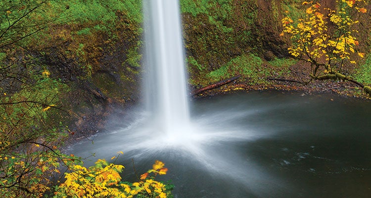 "best state parks oregon"