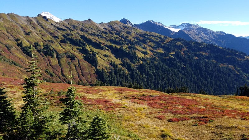 "pacific crest trail"