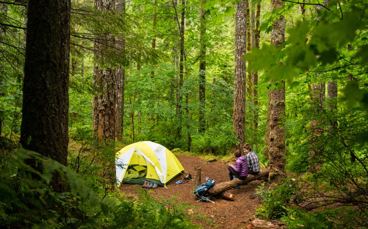 hiking-partner None