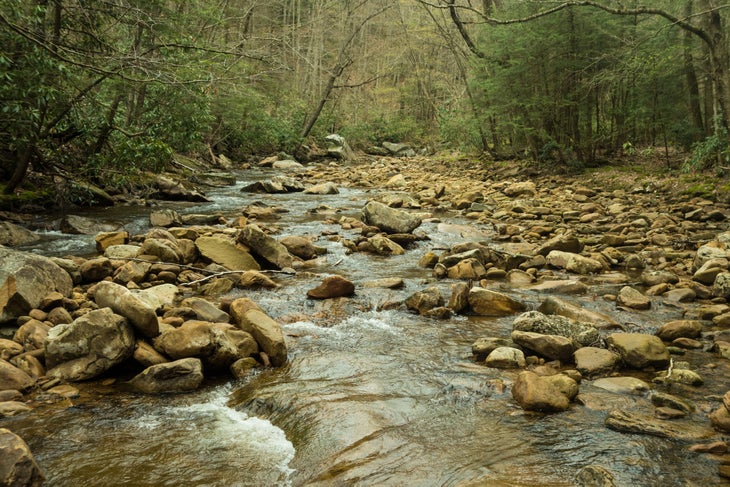 Ryan-P.-Wichelns_2017_04_30-West-Virginia-Backpacking_20170425_008 None