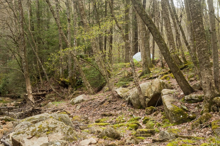 Ryan-P.-Wichelns_2017_04_30-West-Virginia-Backpacking_20170425_009 None