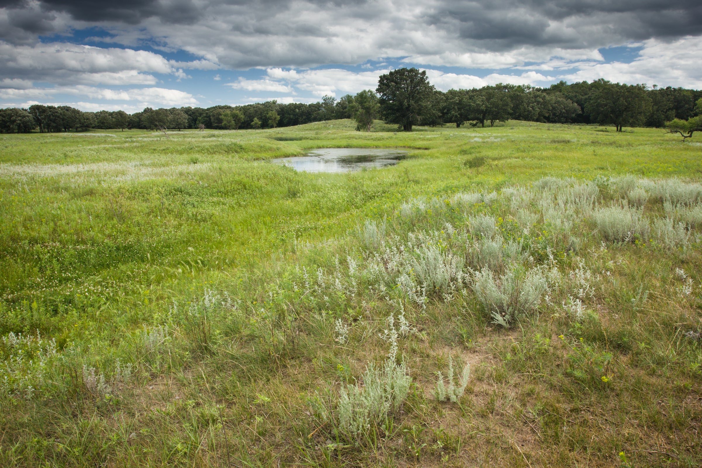 "Sheyenne Sand Prairie"