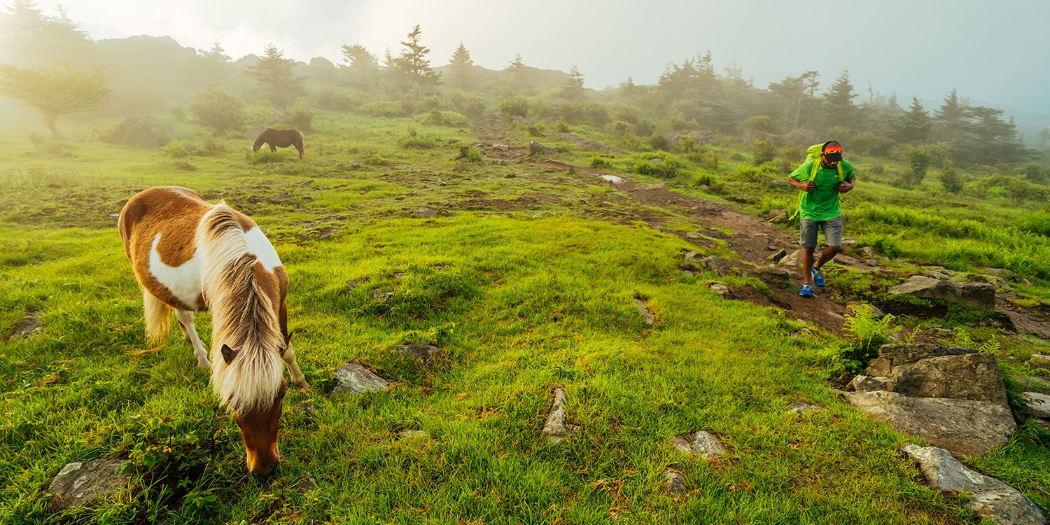 "Mount Rogers, Virginia dayhike"