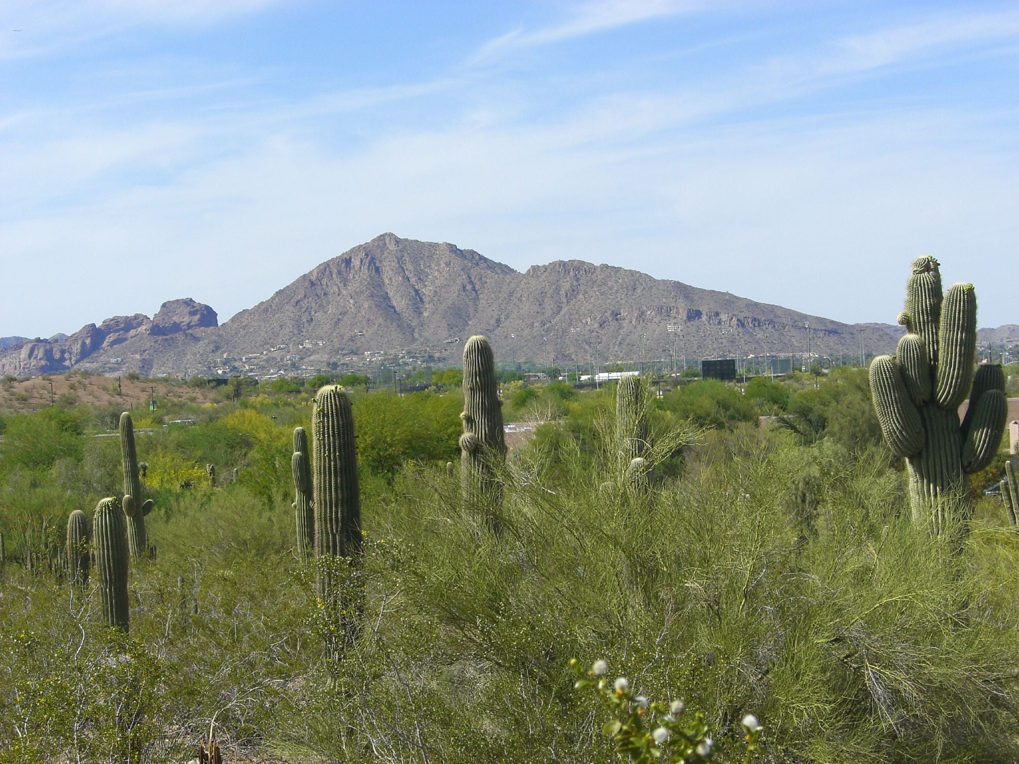 "View of Camelback Mountain"