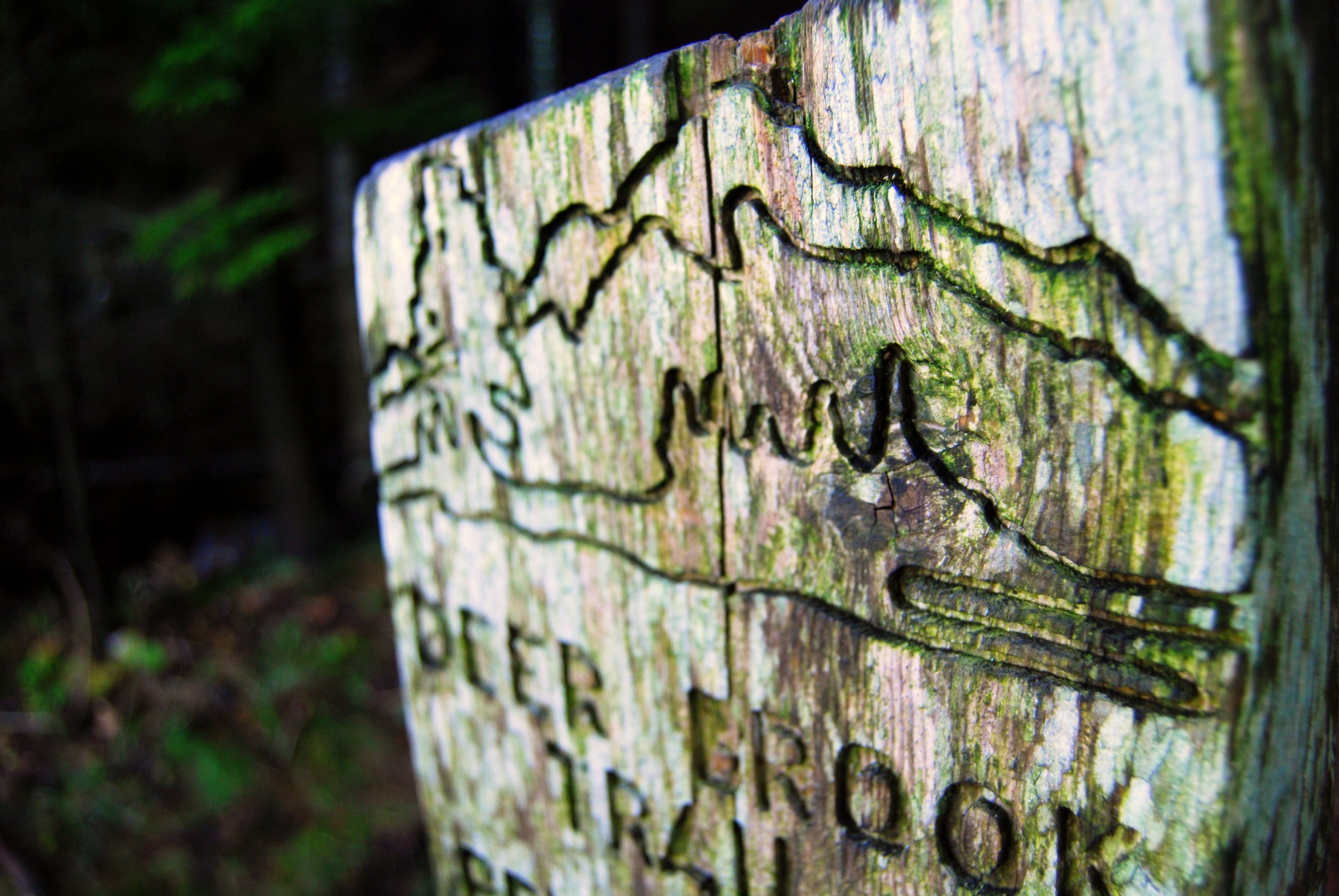 "Deer Brook Trail sign"