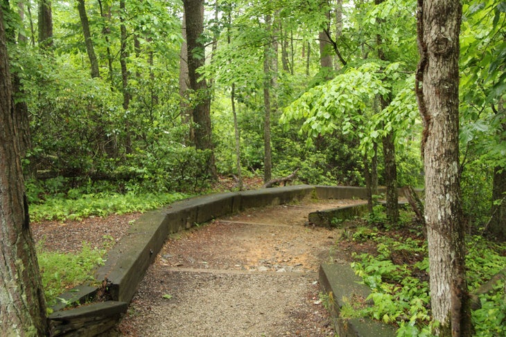 fall creek falls state park Tennessee dayhike