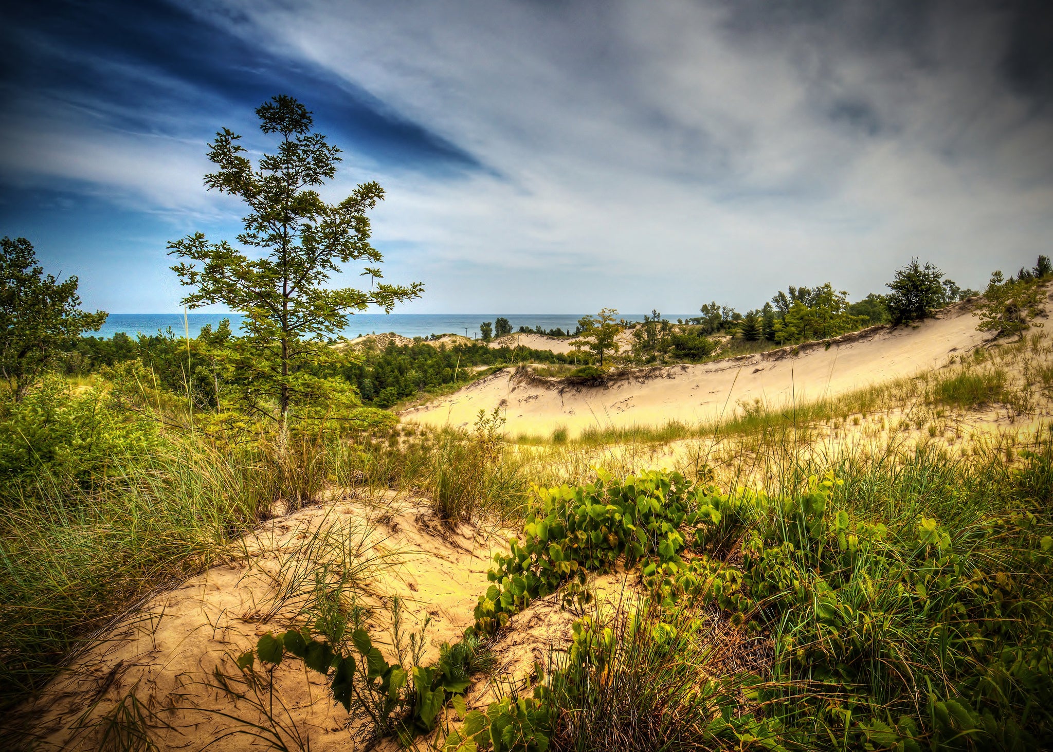 "Indiana Dunes State Park"