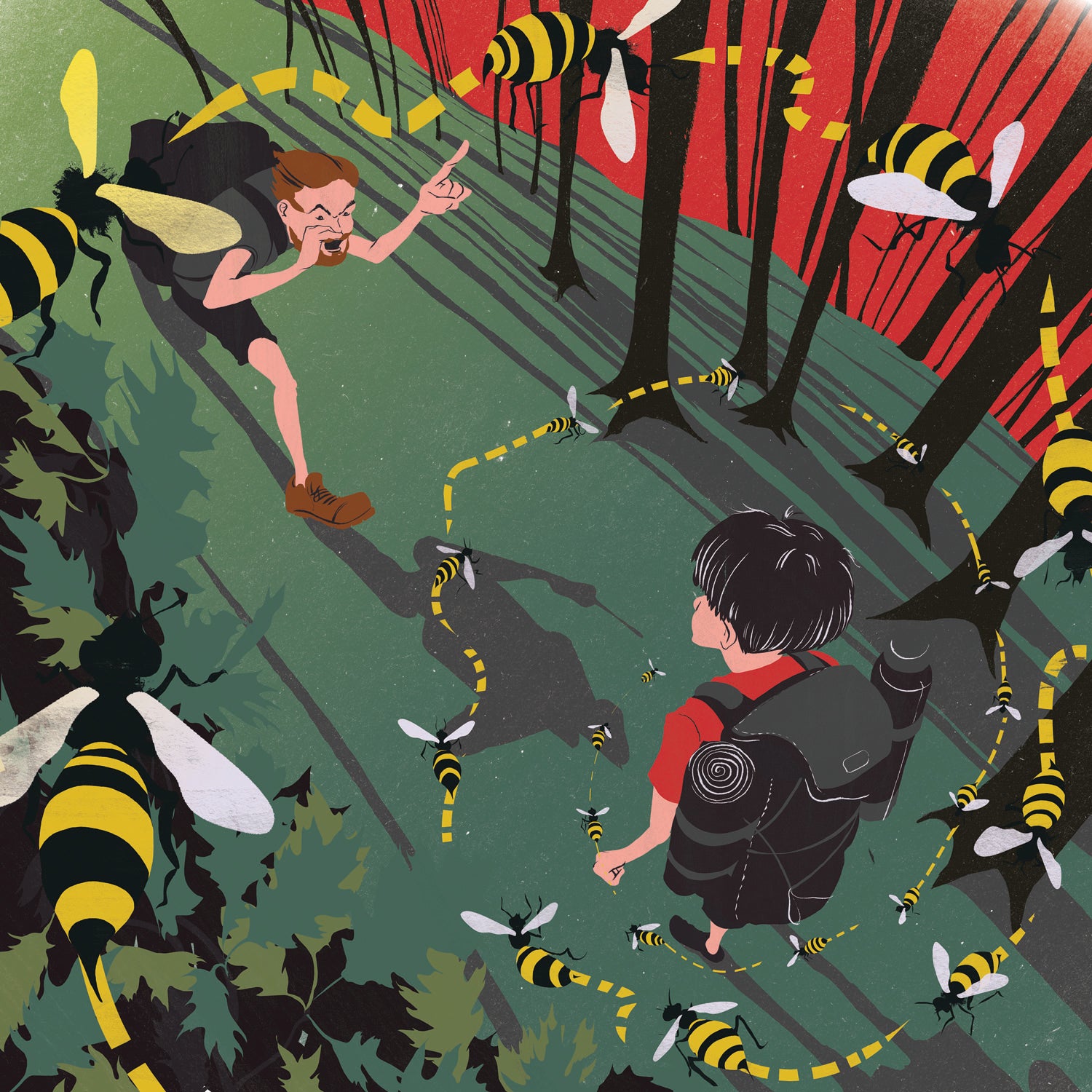 "Stung hikes gone wrong"