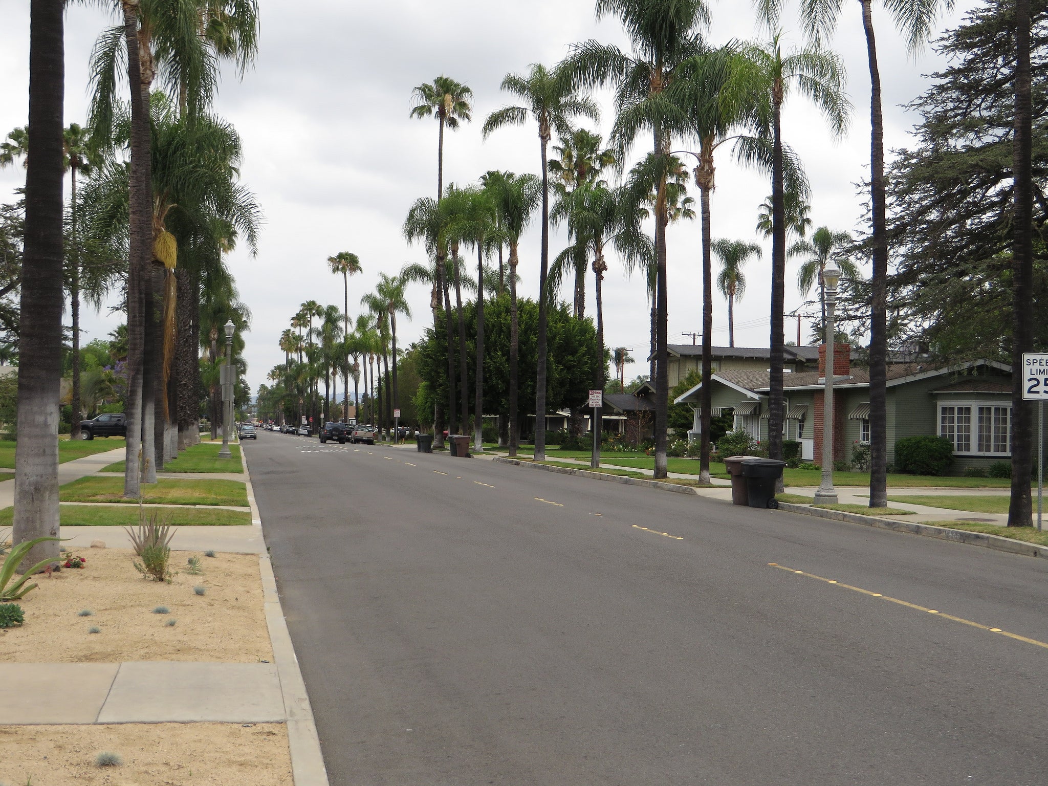 "View of a LA neighborhood street"