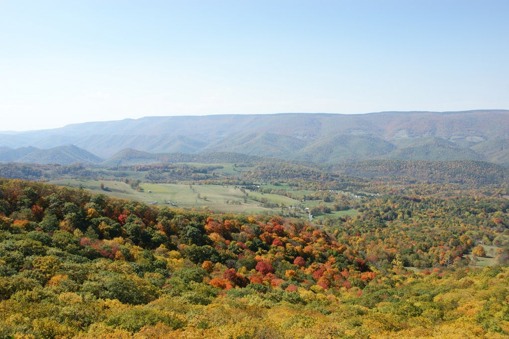 "North Fork Mtn dayhike"