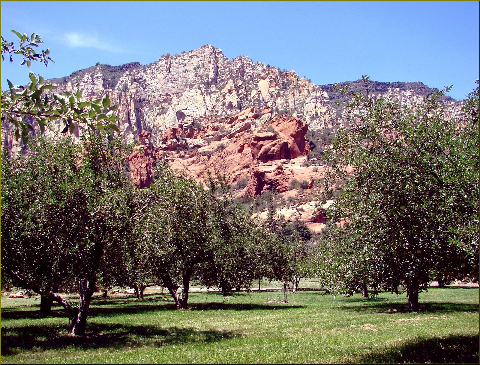 "apple orchard in Oak Creek Canyon"