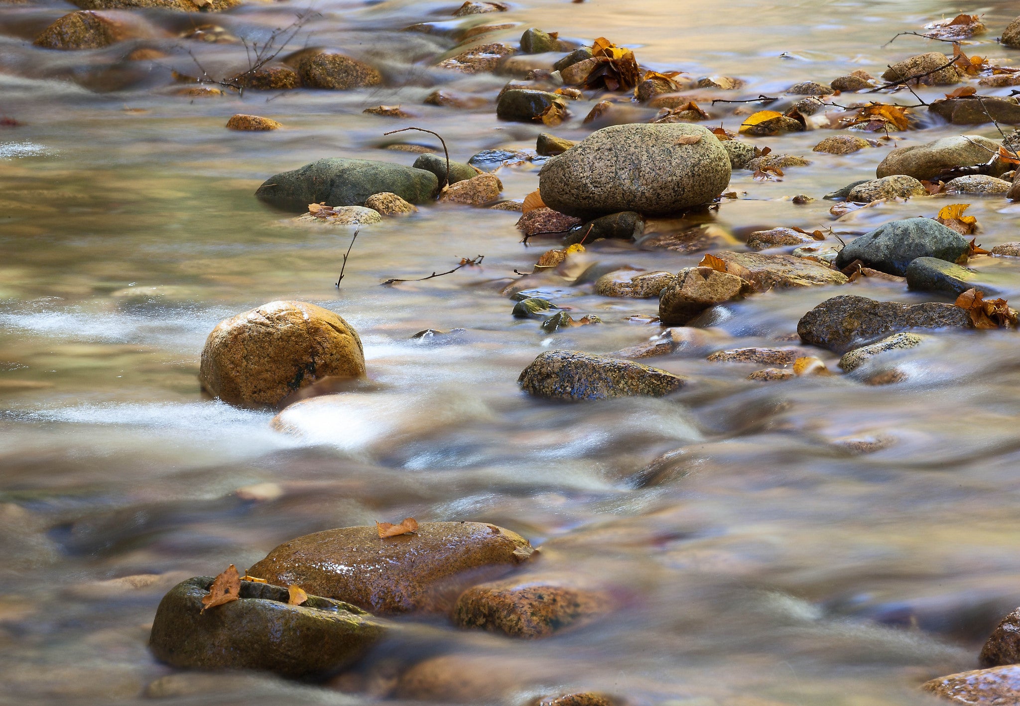 "Sabbaday Creek, White Mountains"